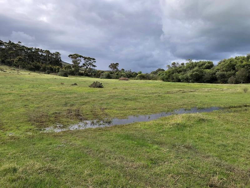 0 Bedroom Property for Sale in Baardskeerdersbos Western Cape